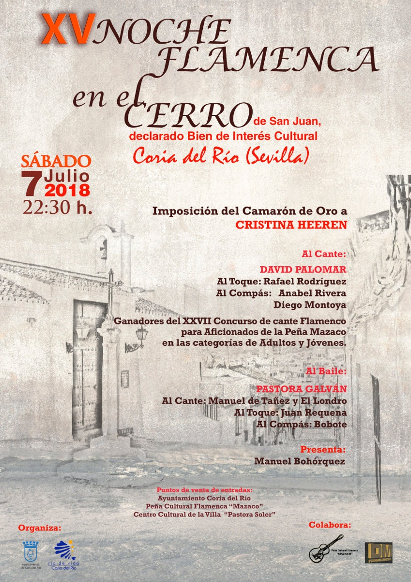 Cartel XV Noche Flamenca en el Cerro