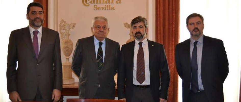 plan_estrategico_c20